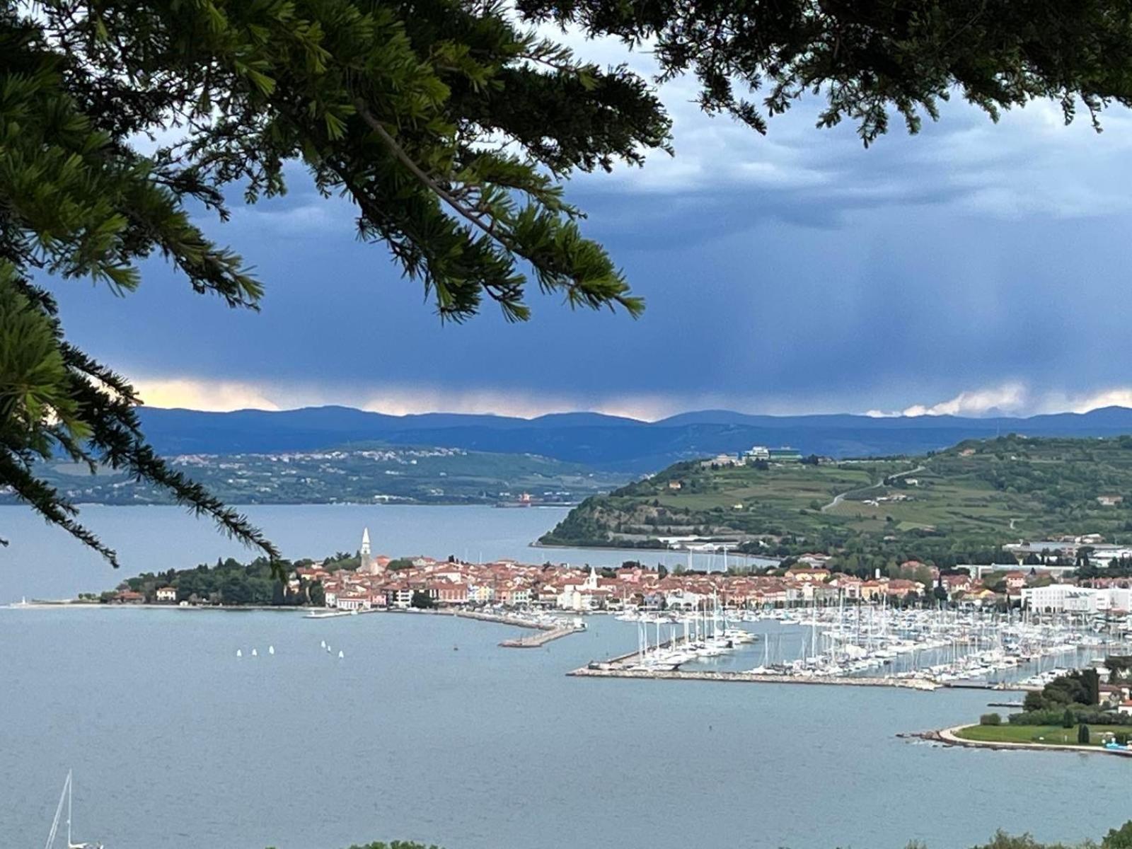 First Row To The Sea - Maremi Izola Apartment Terrace Екстериор снимка